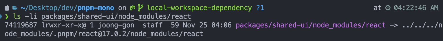 local-workspace-dependency-2.png